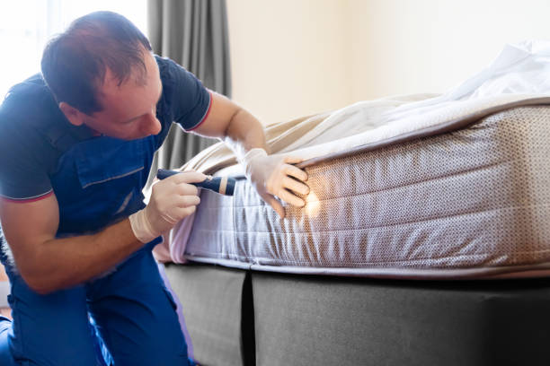 Best Bed Bug Extermination  in South Bend, IN